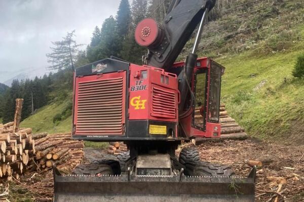 Timberpro 830 C