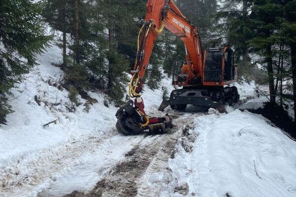 Baggerprozessor Doosan DX210 mit Woody 60