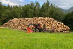 Timberpro 830 C