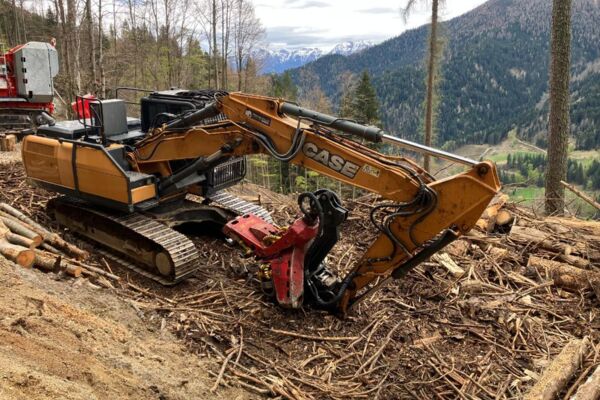Raupenbagger CASE CX 210C NLC mit Woody WH60-1