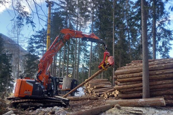 Hitachi ZX225 mit Woody WH60-1