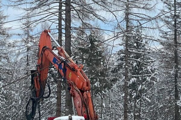 Raupenbagger FIAT HITACHI EX 235 mit WOODY WH6