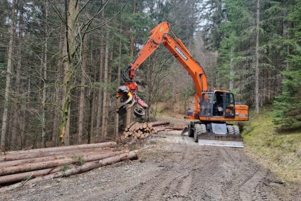 Baggerprozessor Doosan DX210 mit Woody 60