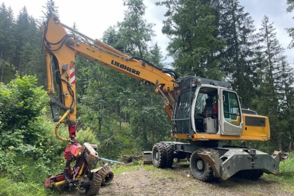 Baggerprozessor Liebherr A914 C