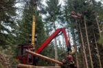 Mounty 2600 mit Woody WH52